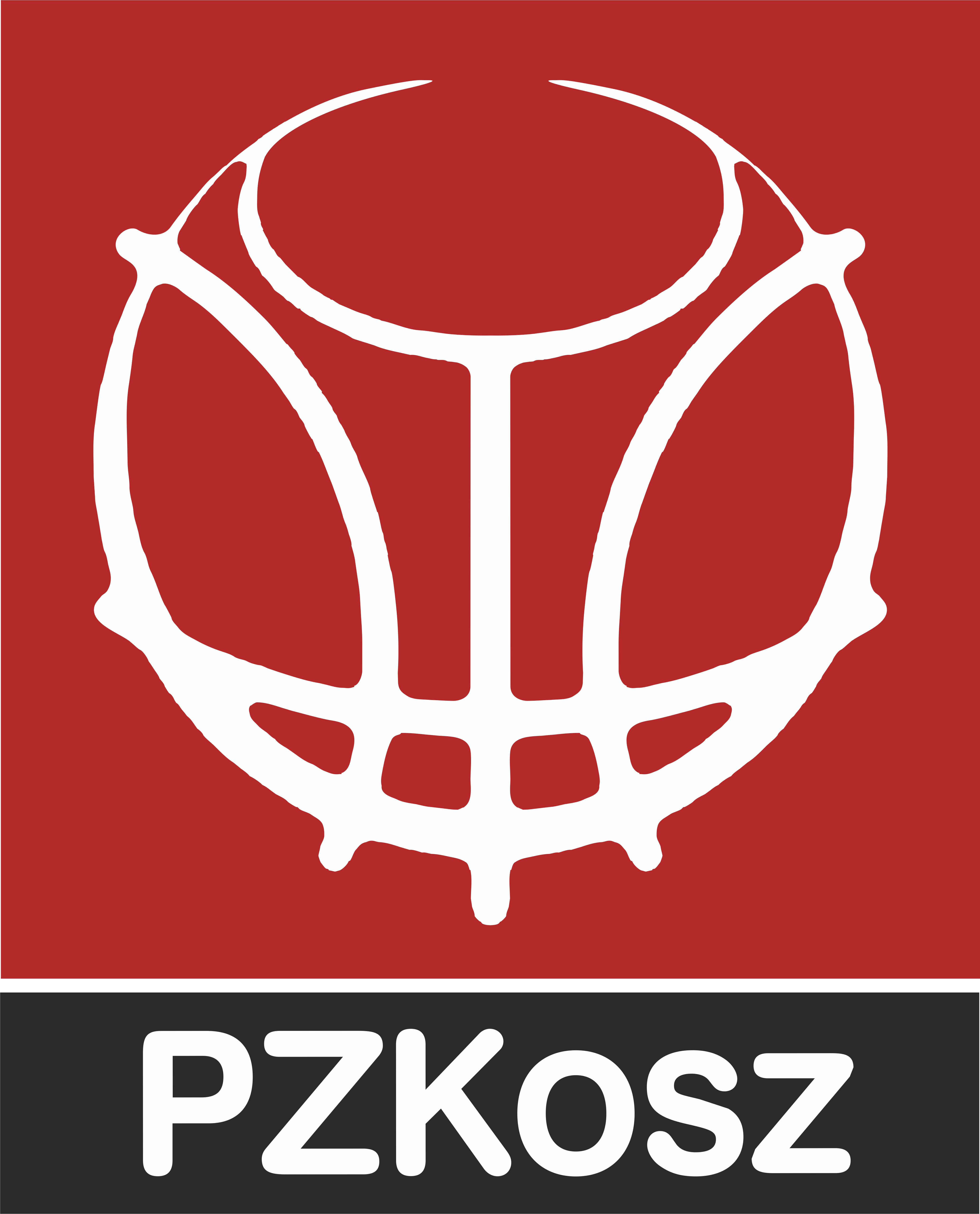 logo PZKosz