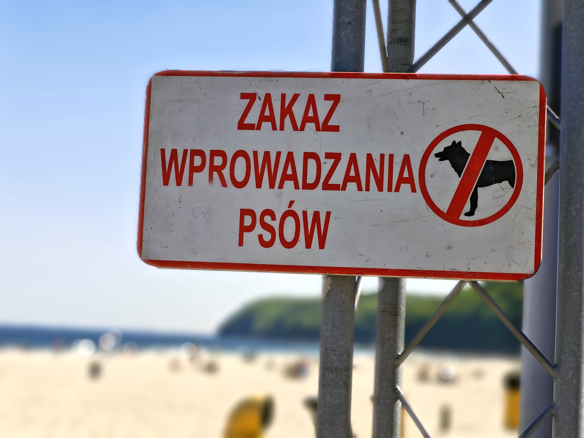 tabliczka z zakazem wprowadzania psów