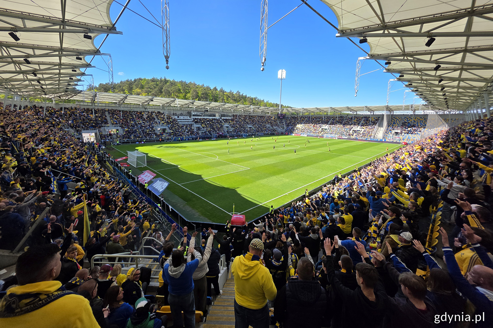 wypełniony stadion