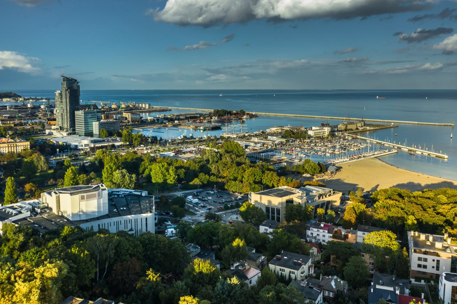 widok na Gdynię 