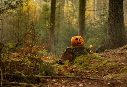 Haloweenowa dynia