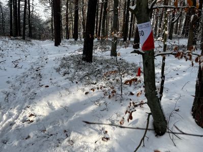 Punkt do biegu na orientację