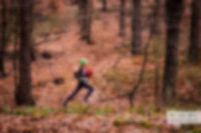 Biegacz w lesie