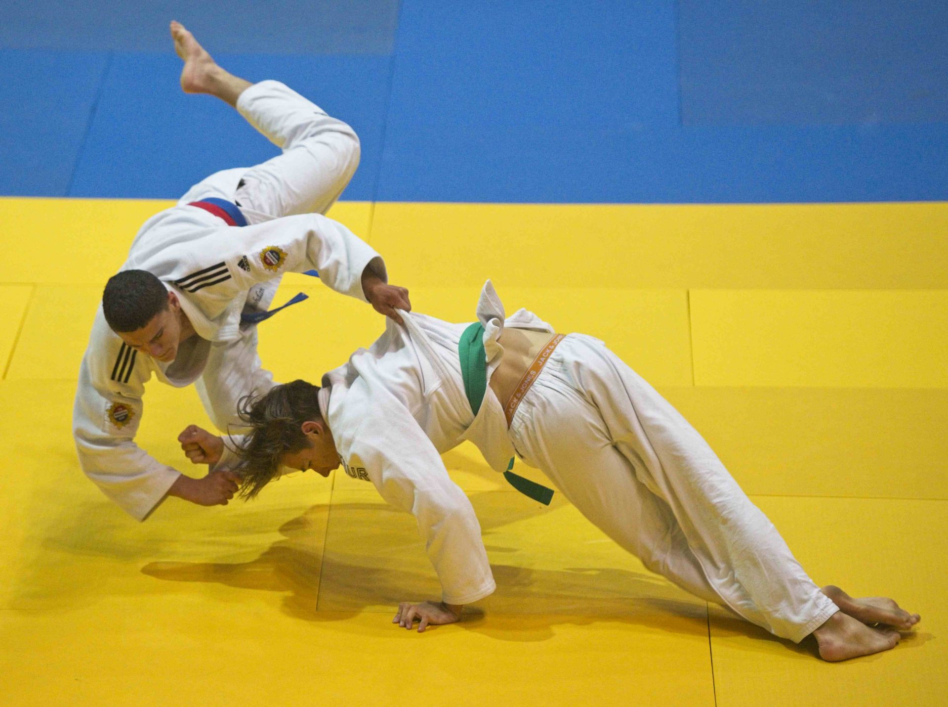 zawodnicy na Judo Baltic Cup 
