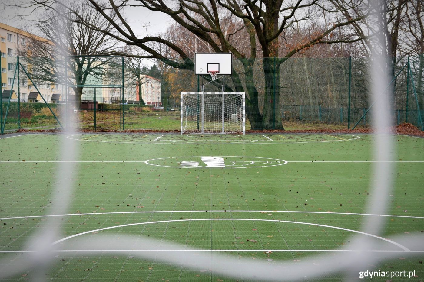 boisko przy Dedala