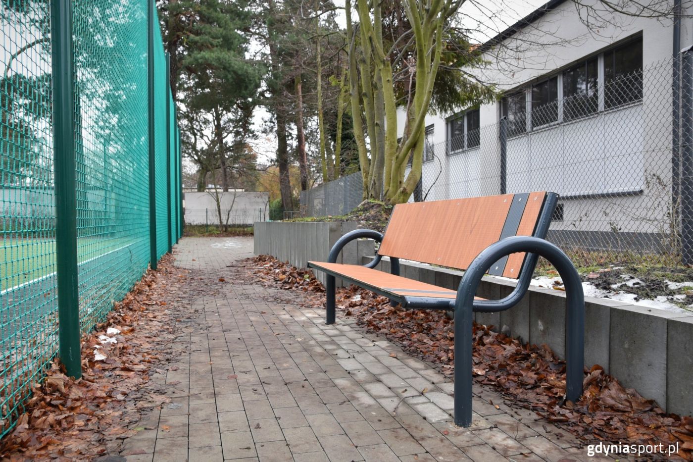 boisko przy Dedala