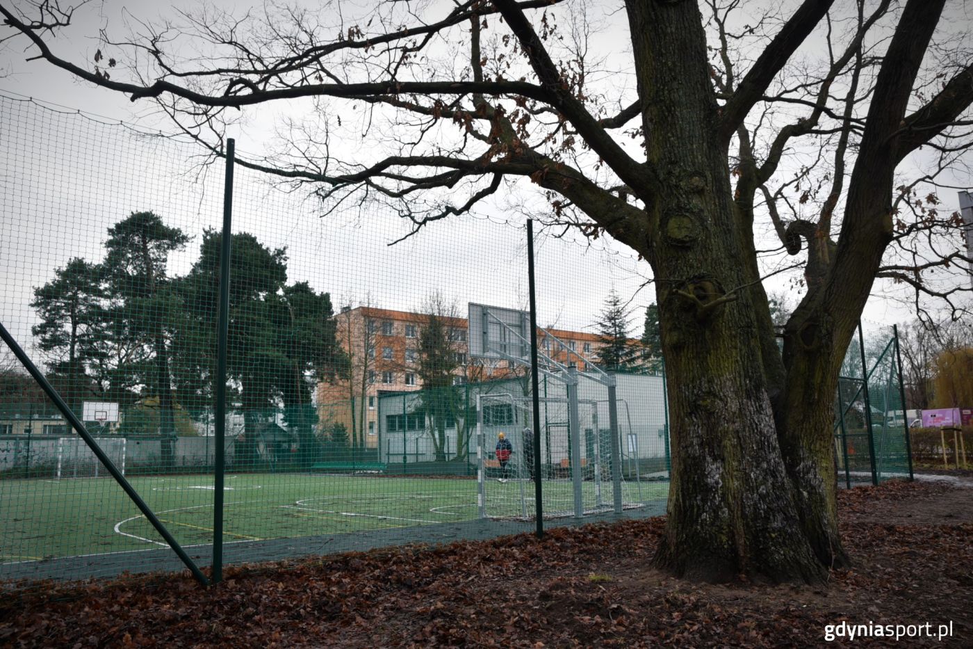 boisko przy Dedala